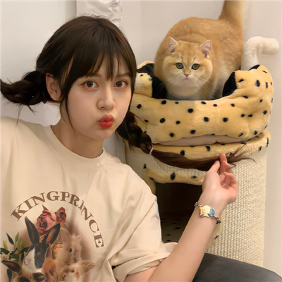 中国香港伴游女生星晓莉的资料